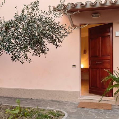 Casa Sgarzin Bed & Breakfast Cuccurano Ngoại thất bức ảnh